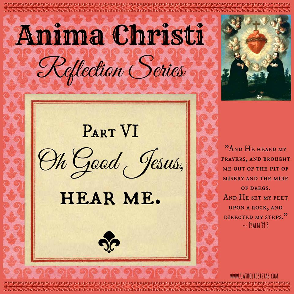 Anima Christi part6