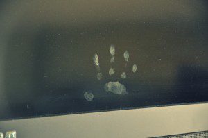 handprint 1