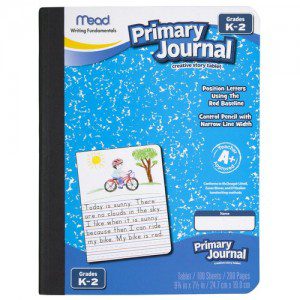 mead primary journal