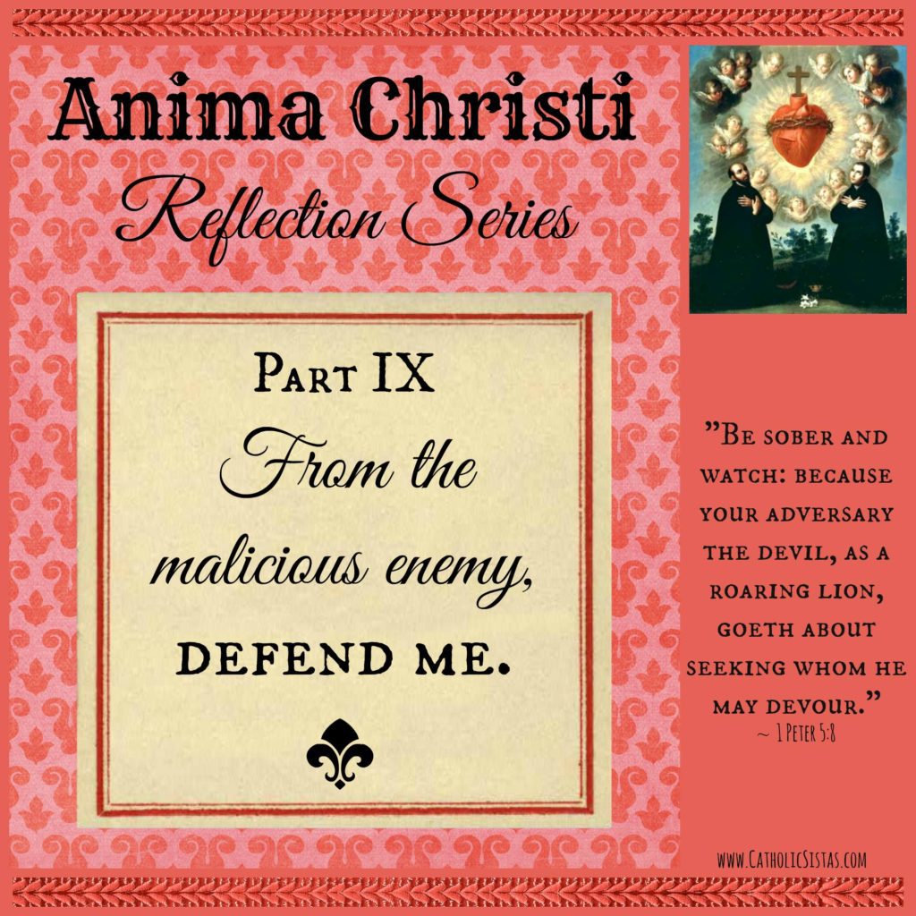 Anima Christi Oct reflection