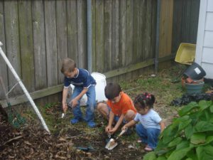 Backyard digging