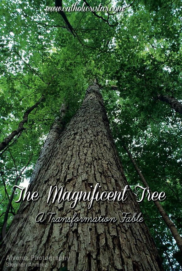 The Magnificent Tree