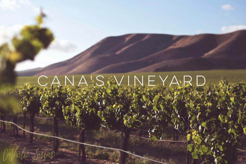 The Birth of Cana's Vineyard, A Catholic Couples Group