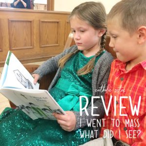I Went to Mass: What did I see?