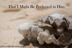 That I Might Be Perfected In Him