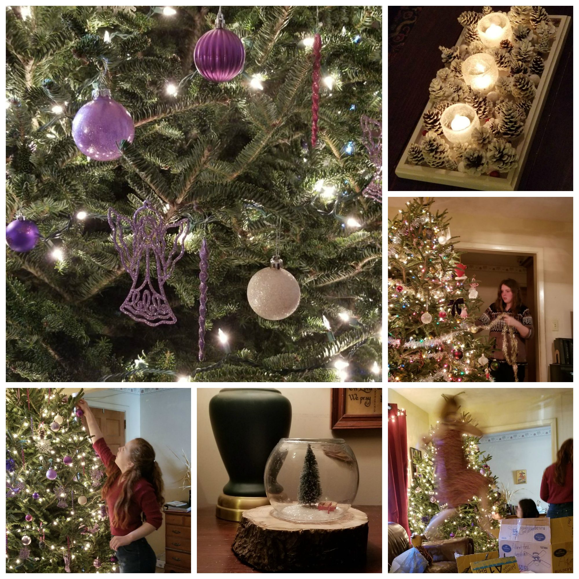 How Our Advent Tree Came to Life