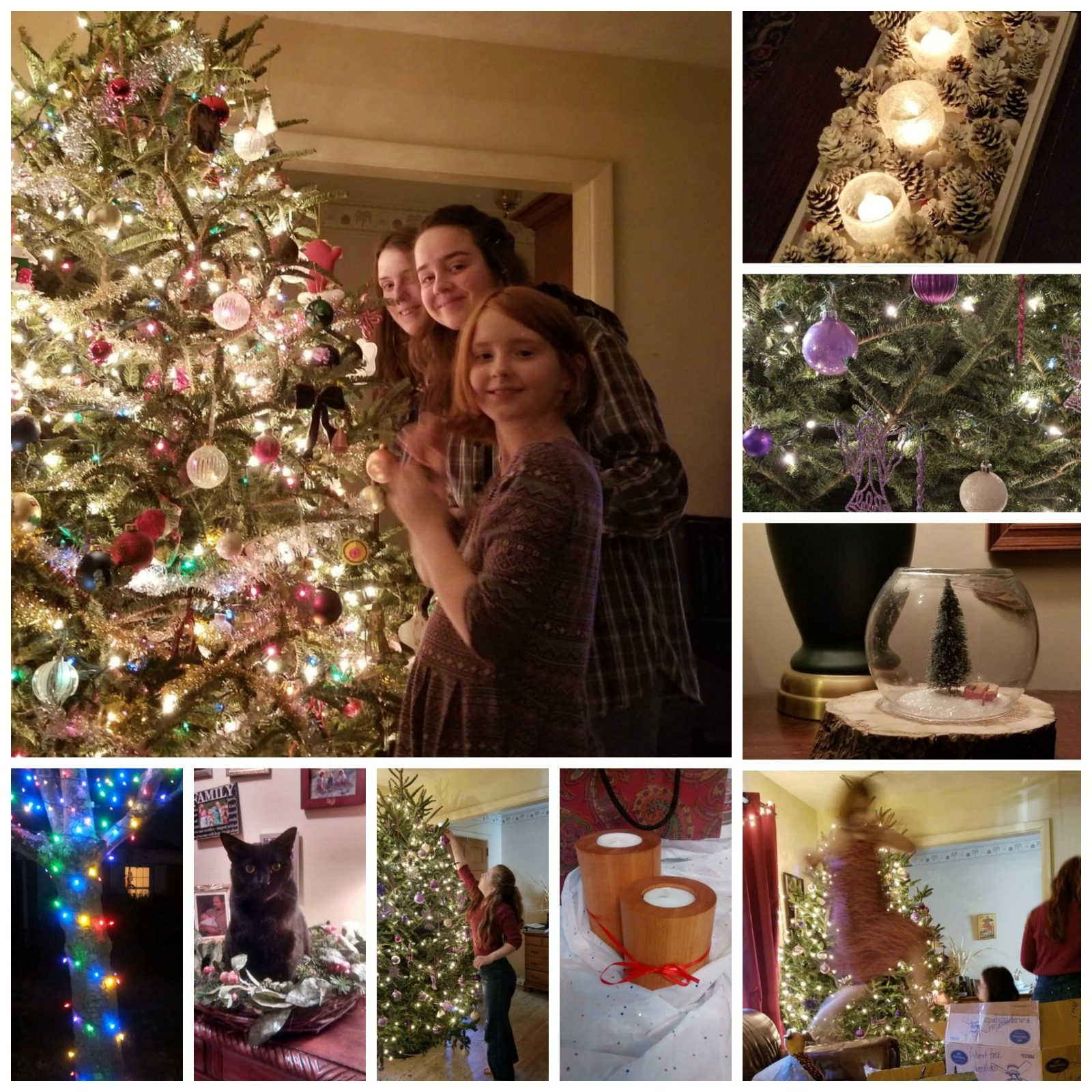 How Our Advent Tree Came to Life