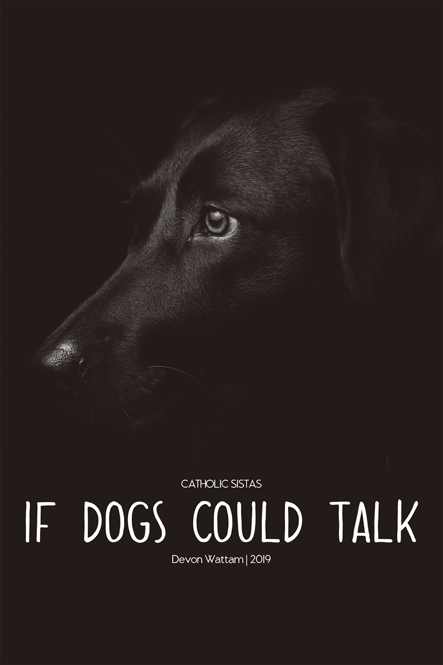 If Dogs could Talk