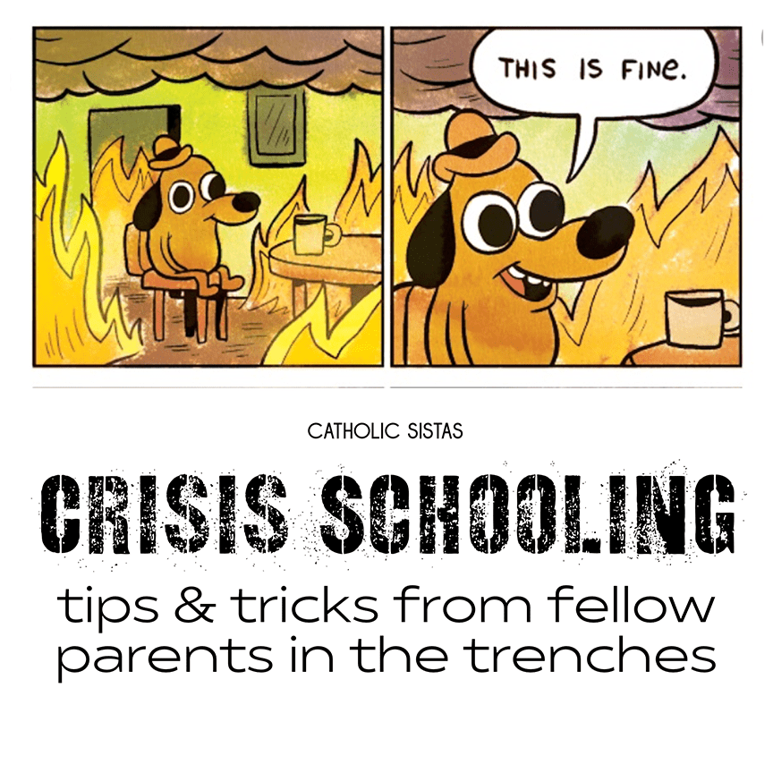 Crisis Schooling Tips and Tricks from fellow parents in the trenches